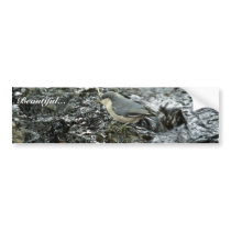 Pygmy Nuthatch bumper stickers by animalpark Pygmy Nuthatch bumper stickers