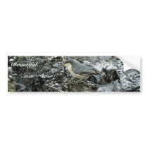 Pygmy Nuthatch bumper stickers by animalpark Pygmy Nuthatch bumper stickers