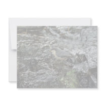 Pygmy Nuthatch invitations