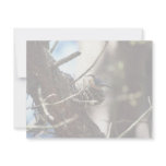 Pygmy Nuthatch Personalized Invitations