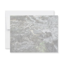 Pygmy Nuthatch Invitations