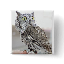 Pygmy Owl - Button