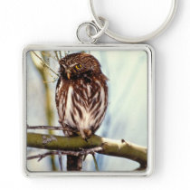 Pygmy Owl Key Chains