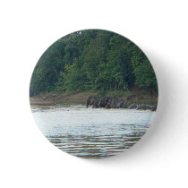 Pygmy Paddle Pinback Button