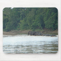 Pygmy Paddle mousepads by Little_Fish_Travel Pygmy Paddle mousepads