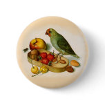 Pygmy Parrot With Fruit and Nuts Pinback Buttons