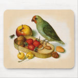 Pygmy Parrot With Fruit and Nuts Mousepad