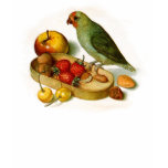 Pygmy Parrot With Fruit and Nuts Tshirts