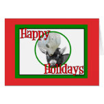 Pygora Baby Goats Holiday Christmas cards