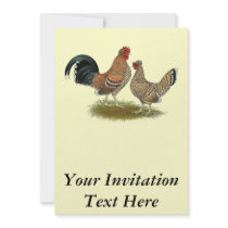 Pyncheon Bantams Invitations