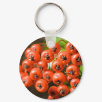 Pyracantha keychains