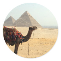pyramid camel round sticker
