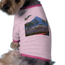 Pyramid In Long Beach pet clothing