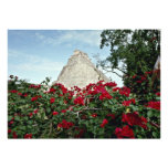Pyramid Of The Magician With Bougainvillea Custom Announcement