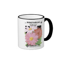 Pyrethrum, Painted Daisy, F. Lagomarsino & Sons Mugs