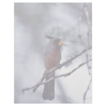 Pyrrhuloxia Custom Letterhead