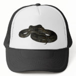Python Hat