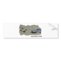 Python vs Alligator Bumper Sticker