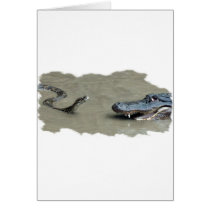 Python vs Alligator Greeting Cards