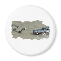 Python vs Alligator Magnet
