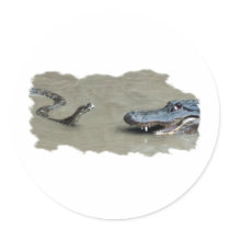 Python vs Alligator Round Stickers