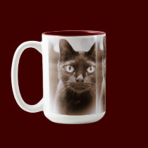 Pywacket Potrait I Mug mugs