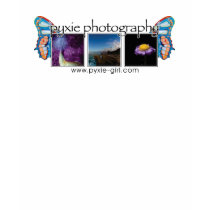 pyxie photography photo logo - b t-shirts