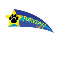 PZshootingstar t-shirts