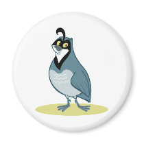 Q is for Quail Magnets