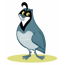 Q is for Quail t-shirts