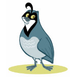 Q is for Quail t-shirts
