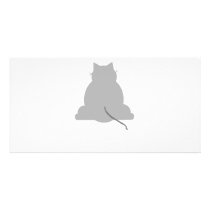 Q-tie cat photo cards by Loribme Q-tie cat photo cards