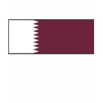 Qatar Flag Map Spaghetti Top