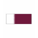 Qatar FLAG International shirt
