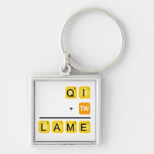 QI is LAME! Keychains