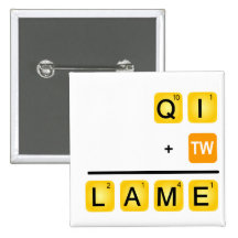 QI is LAME! Pinback Button