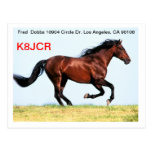 QSL Card w/Galloping Horse Postcards