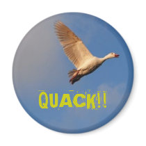 QUACK!! magnets