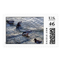 Quack postage by designcreatology Quack postage