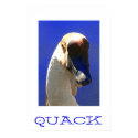 QUACK posters by peterspooner QUACK posters