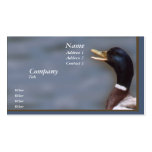 Quack up business cards