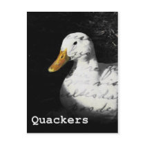 Quackers postcards