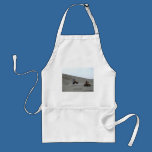 Quad The Dunes Oregon Coast Sand Fun 4 Wheel aprons
