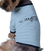 quadratic formula pet clothing