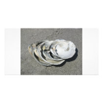 Quahog Shells on the beach Personalized Photo Card