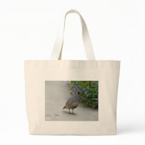 quail bags