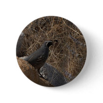 Quail Bird In The Desert buttons by lifesphere Quail Bird In The Desert buttons