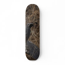 Quail Bird In The Desert Skateboards
