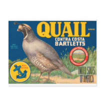 Quail Brand Contra Costa Bartletts Post Cards
