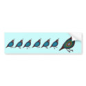 Quail bumper stickers by jamierushad Quail bumper stickers
